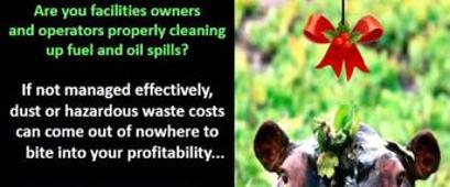 ENRAM (Energy Resource Americas) New 100% Bio-Based Absorbents of hazardous spills